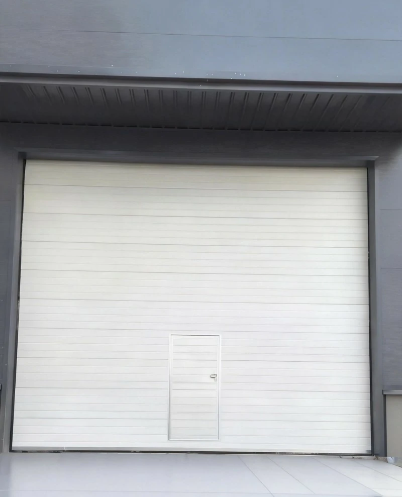 阿里地区工业提升门